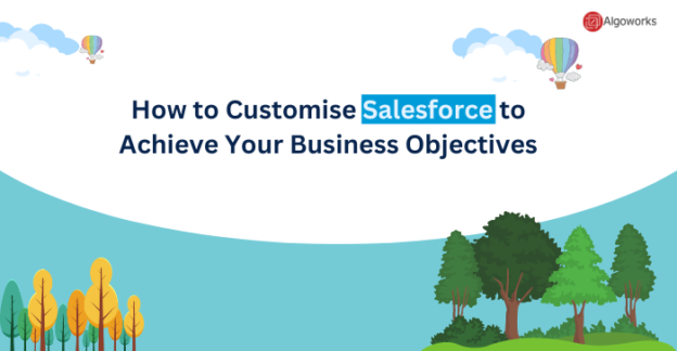 Achieving Your Business Goals through Salesforce Customization: A Step-by-Step Guide